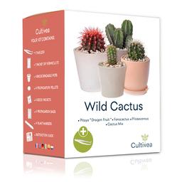 Kit de semis graine de cactus