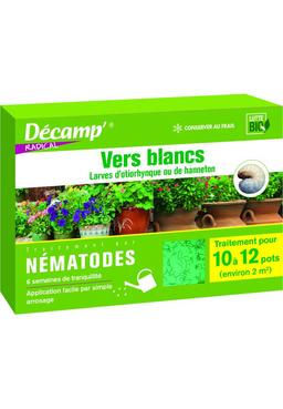 Nématodes anti vers Blancs, otyorinques et hannetons 1M