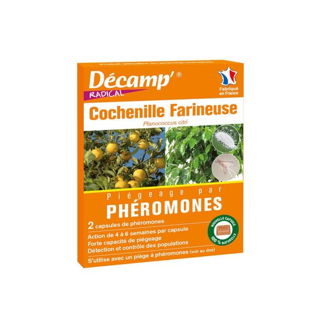 Phéromone contre les cochenilles farineuses