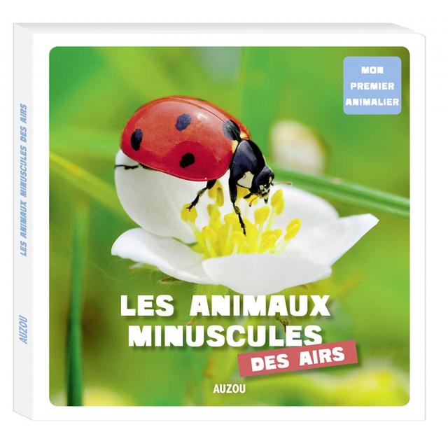 Les animaux minuscules des airs - Auzou