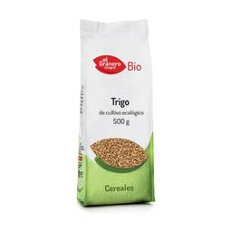 Blé de grain 500 g