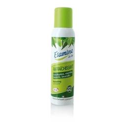 Désodorisant rafraîchissant eucalyptus 125ml