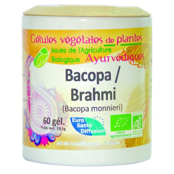 Bacopa / Brahmi (Hysope d'eau) Gélules ayurvédiques 250 gélules