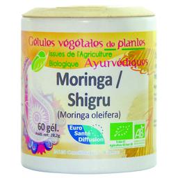 Shigru (Moringa) Plantes Ayurvédiques 250 gélules