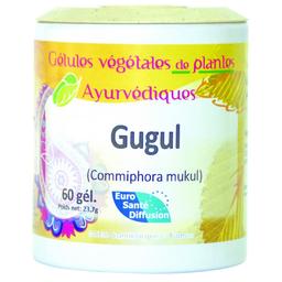 Gugul (Oliban indien) Plantes Ayurvédiques 60 gélules