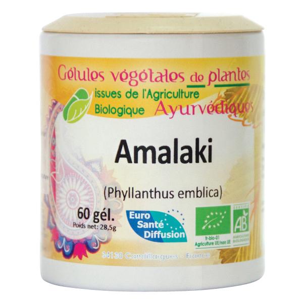 Amalaki (Groseillier indien) Gélules Ayurvédiques 250 gélules