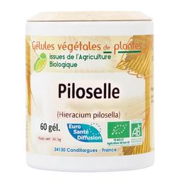 Piloselle Bio 250 gélules