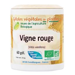 Vigne rouge Bio 60 gélules