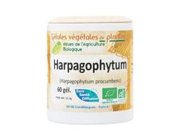 Harpagophytum Bio 250 gélules