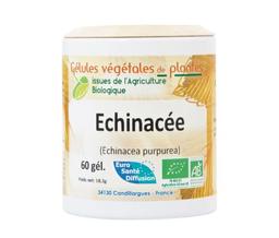 Echinacée Bio 60 gélules