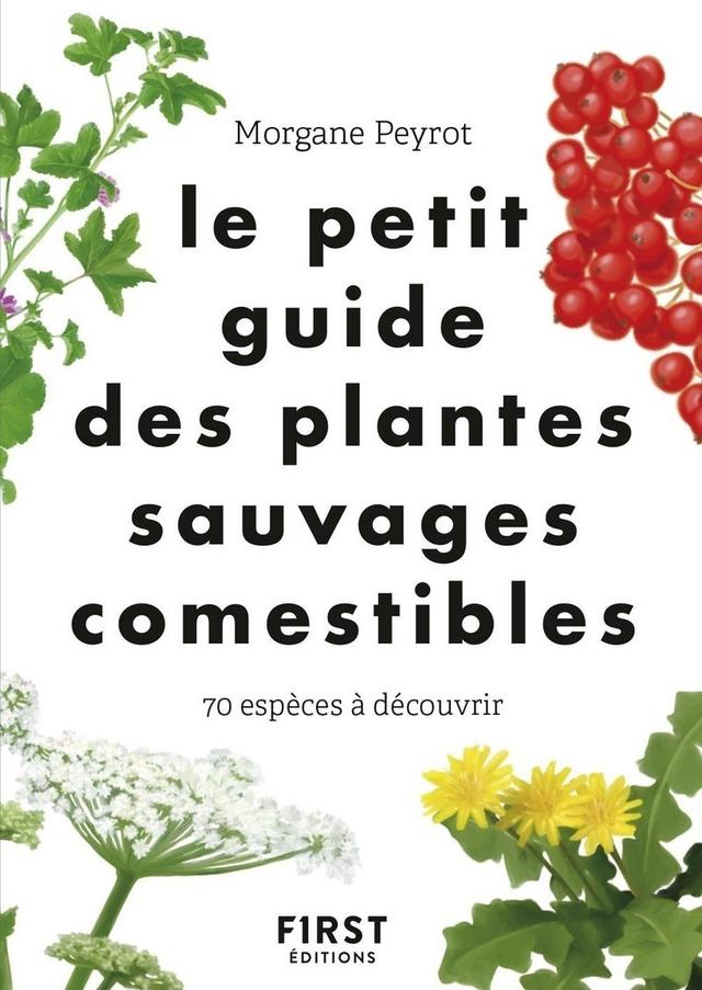 Le Petit guide des plantes sauvages comestibles - 70 espèces