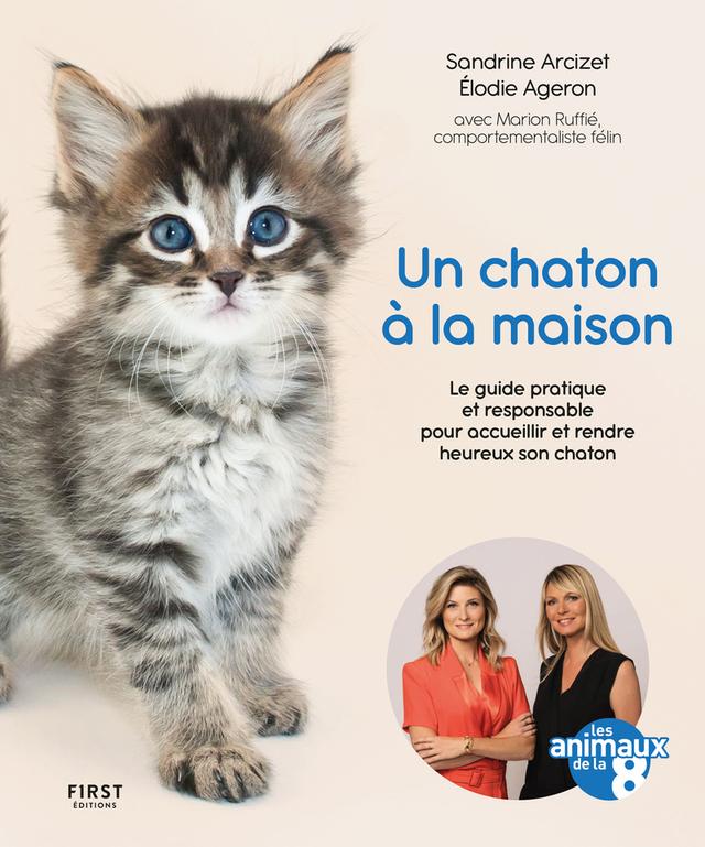 Livre - Un chaton à la maison