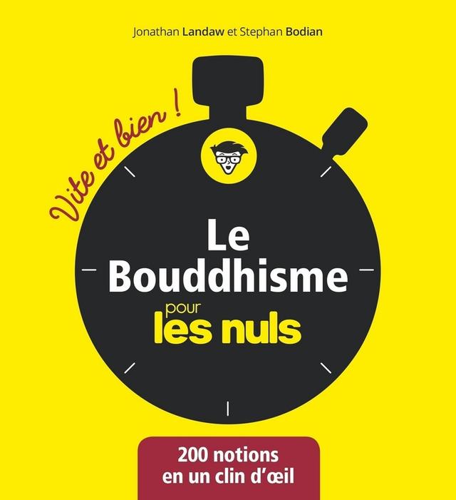 Livre  Le Bouddhisme Vite et bien pour les Nuls - Bodian Stephan