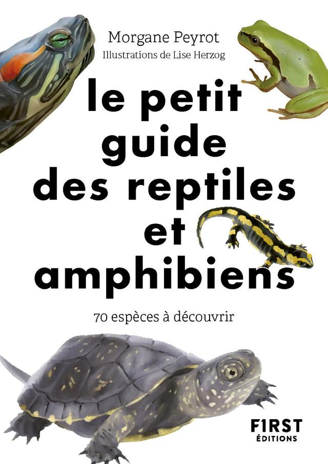 Livre Le Petit Guide des reptiles et amphibiens - Peyrot Morgan