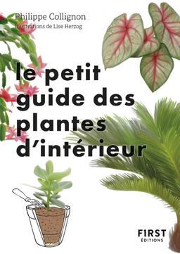 Livre  Le Petit Guide jardin des plantes d'intérieur - Collignon