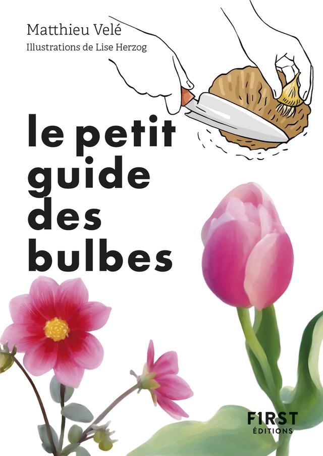 Livre  Le Petit guide des bulbes - Velé Matthieu