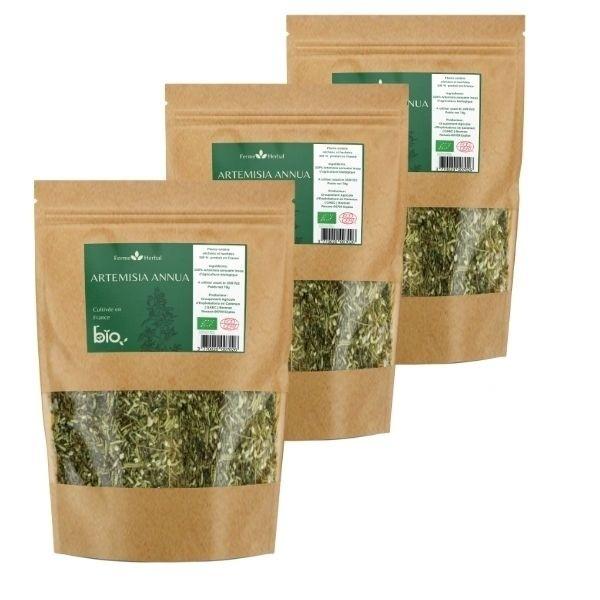 Pack de 3 - Artemisia annua Bio - 70g