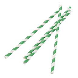 Paille biodégradable en papier Fiesta Green - Vert & blanc - Lot