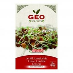 Lentille - Graines à germer bio - 90g