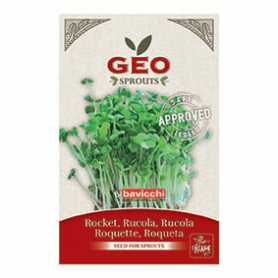 Roquette - Graines à germer bio - 30g