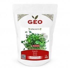 Roquette - Graines à germer bio - 300g