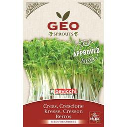 Cresson à germer 35g Géo BIO