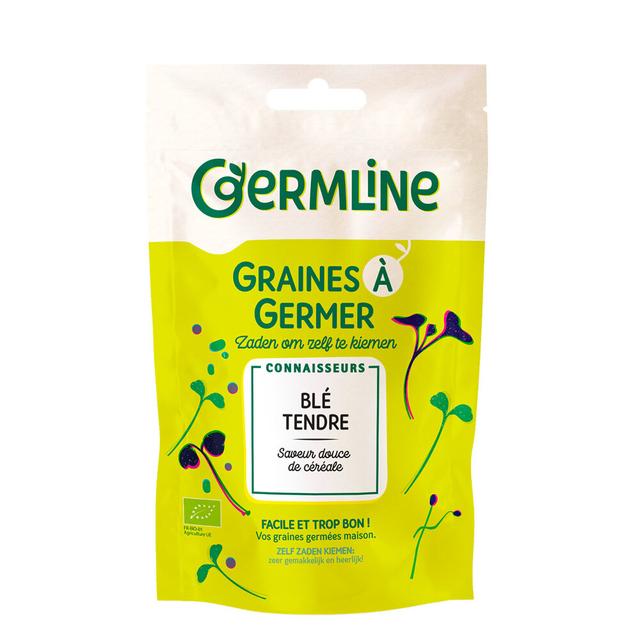 Graines à germer blé Bio 200g