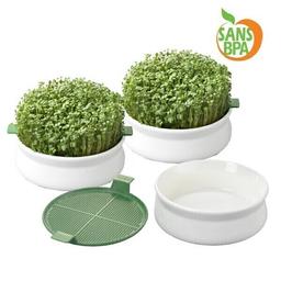 Coupelles de germination - lot de 3