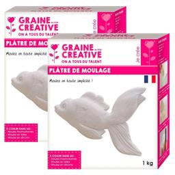 Plâtre de moulage 2 kg