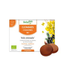 GOMMES CHANTRES - Bio