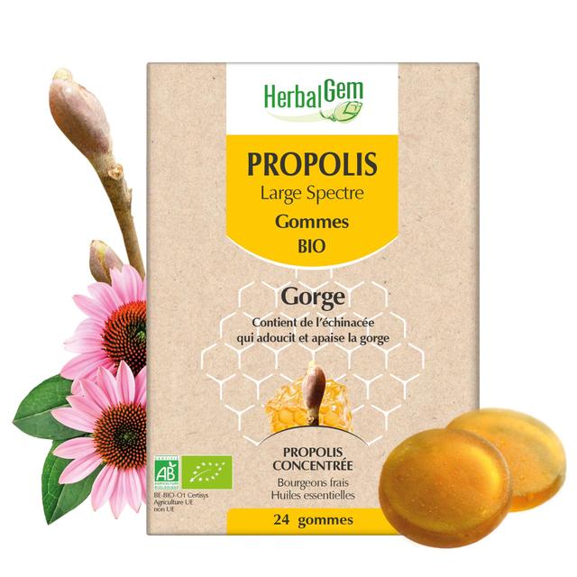 PROPOLIS Large Spectre - Bio