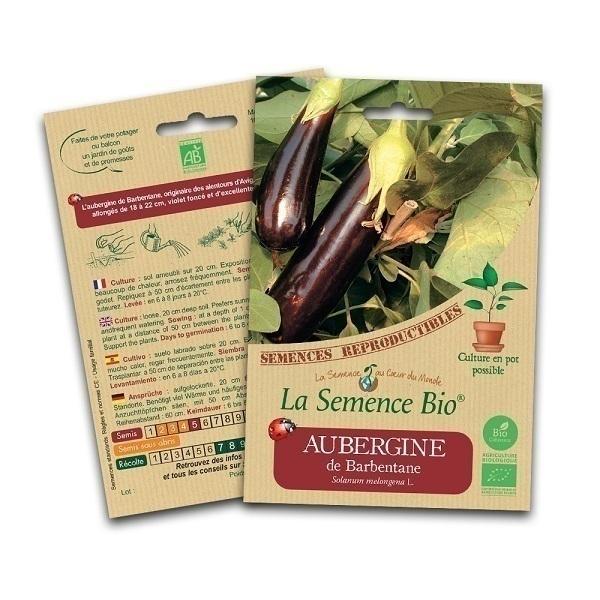 Graines d'Aubergine de Barbentane