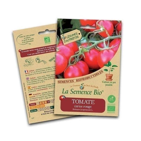 Graines de Tomate cerise rouge