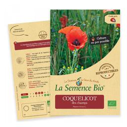 Graines de Coquelicot des Champs