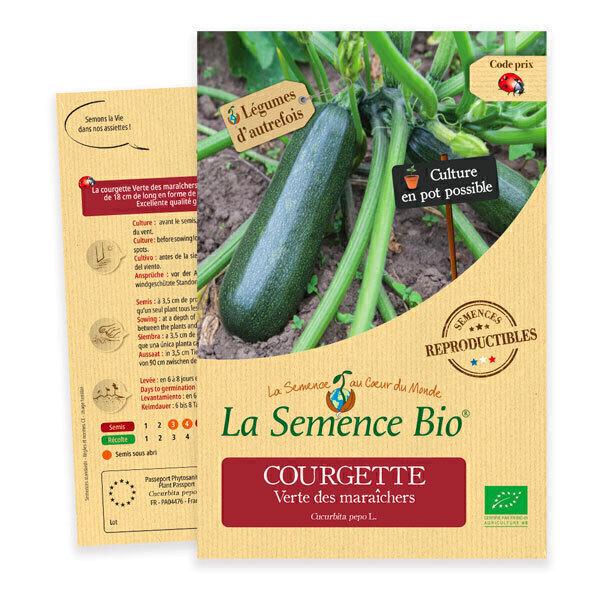 Graines de Courgette Verte des Maraîchers