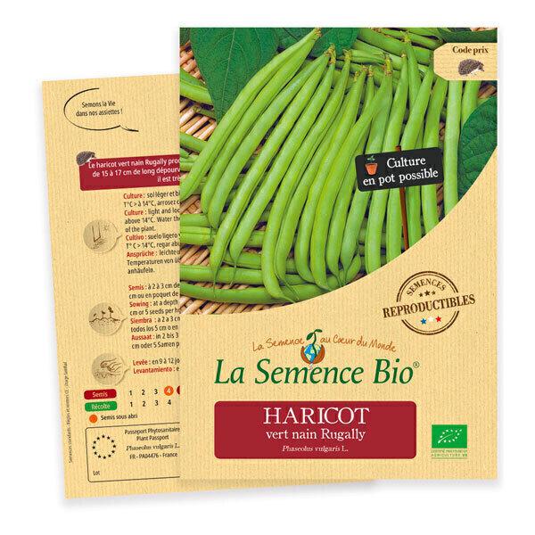 Graines de Haricot vert nain Rugally