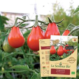 TOMATE Red Pearshaped Bio