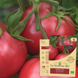 TOMATE Rose de Berne Bio