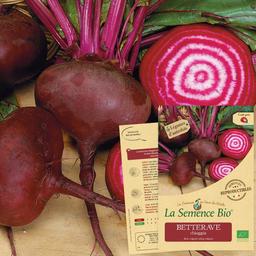 BETTERAVE chioggia Bio