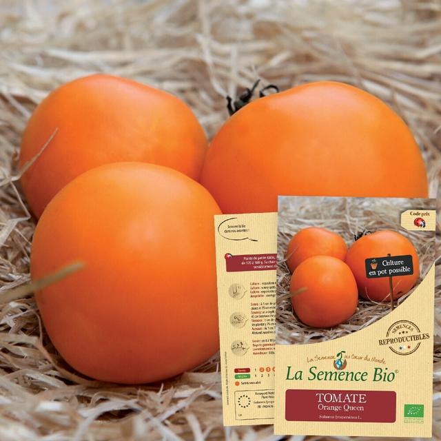 TOMATE Orange Queen Bio