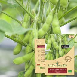 SOJA EDAMAME Chiba green Bio