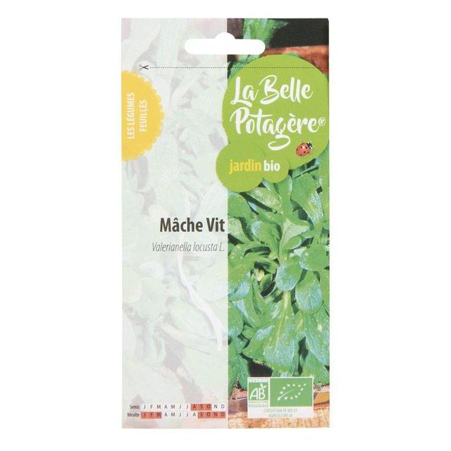 Graines à semer - Mâche Vit - 1 g