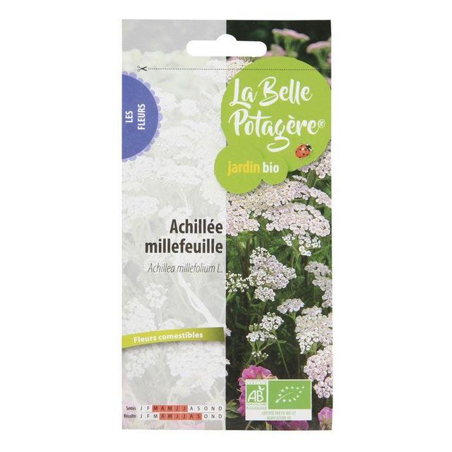 Graines à semer - Achillée millefeuille - 0,15 g