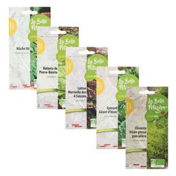 Variétés de salades - 5 sachets de graines à semer