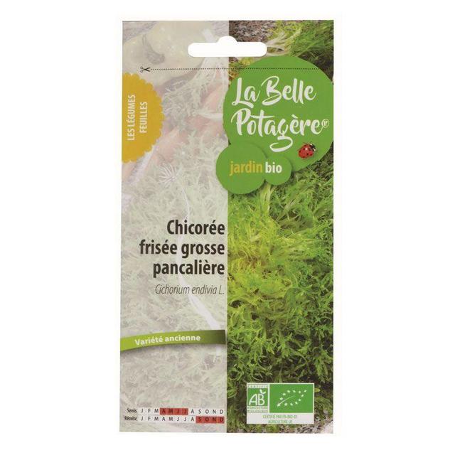 Graines à semer - Salade frisée grosse pancalière - 0,5 g