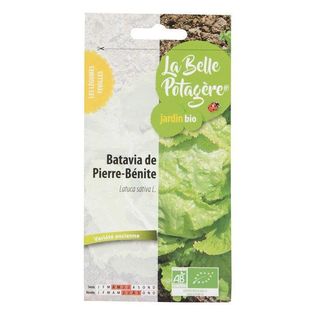 Graines à semer - Batavia de Pierre-Bénite - 0,5 g