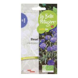 Graines à semer - Bleuet - 0,6 g