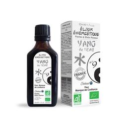 Elixir énergétique N 09 Yang de l'eau (Rein)