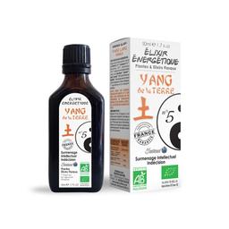 Elixir énergétique N 05 Yang de la terre (estomac