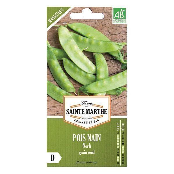 Graines à semer - pois nain Norli bio